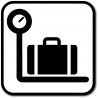 Bagageind- og udlevering