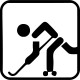 Roller hockey