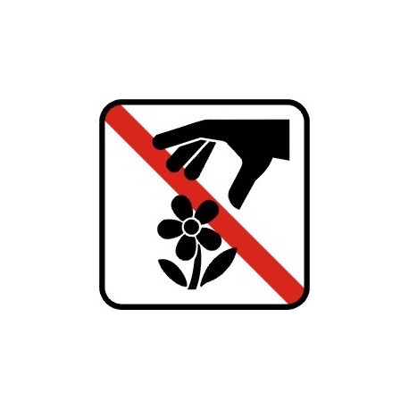 Ingen blomstpluk